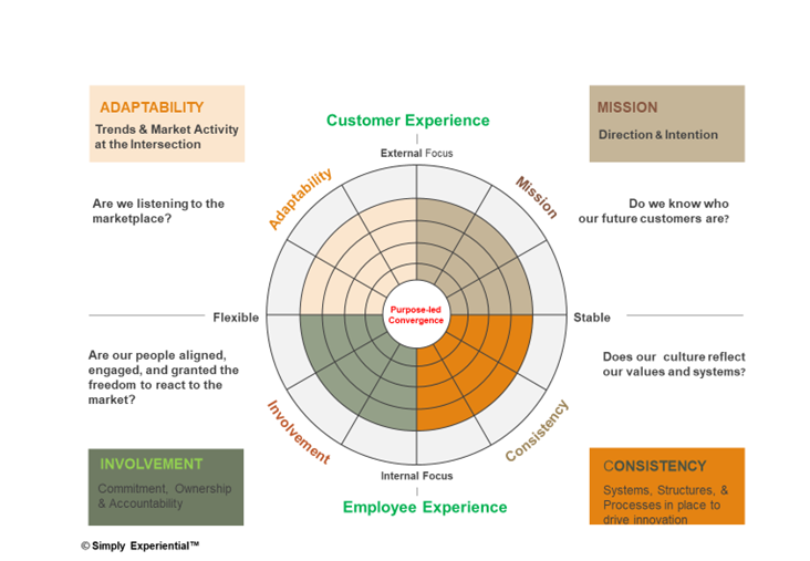 A framework to support teas to align and innovate